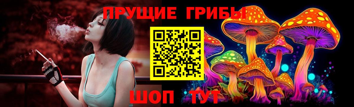 Галлюциногенные грибы мицелий Кропоткин